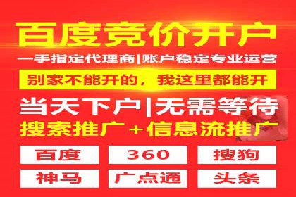 专业SEM托管公司案例分享：提升流量秘诀