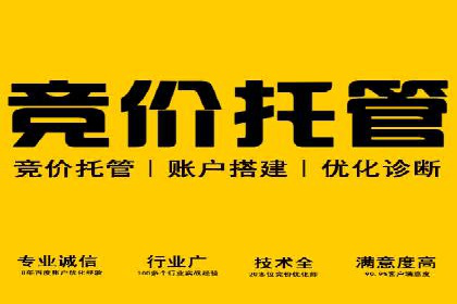百度竞价SEM实战技巧：案例分析及效果评估